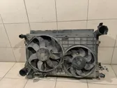 Radiator set