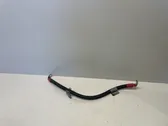 Faisceau de câbles générateur d'alternateur