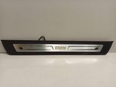 Front sill trim cover