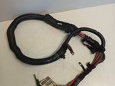 Positive cable (battery)
