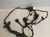 Front door wiring loom