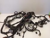 Engine installation wiring loom