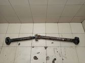 Drive shaft (set)