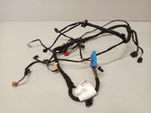 Front door wiring loom