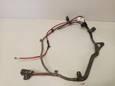 Other wiring loom