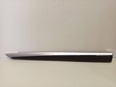 Dashboard glove box trim