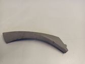 Rear door handle trim