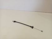 Rear door cable line