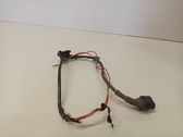 Other wiring loom