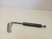 Tailgate/trunk strut/damper