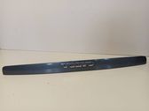 Trunk door license plate light bar