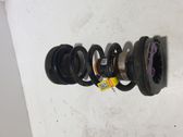 Rear coil spring
