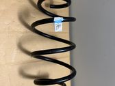 Front coil spring