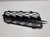 Front bumper upper radiator grill