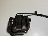 Bremssattel hinten