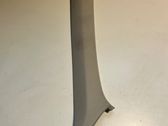 (A) pillar trim