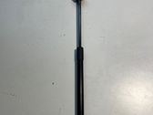Front bonnet/hood damper/strut