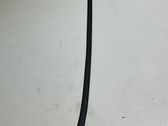 Windshield trim