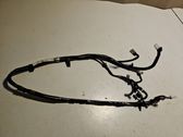 Other wiring loom