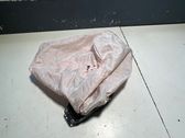 Beifahrerairbag