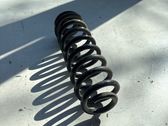 Rear coil spring