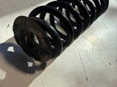 Rear coil spring
