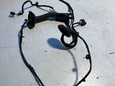 Rear door wiring loom