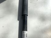 Stoßdämpfer hinten