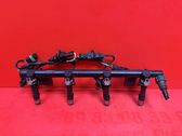 Fuel injectors set