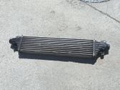 Intercooler radiator