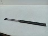 Tailgate/trunk strut/damper