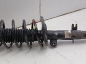 Front shock absorber/damper