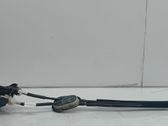 Gear shifter/selector