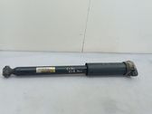 Stoßdämpfer hinten