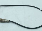 Sonde lambda