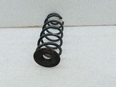 Muelle espiral trasero
