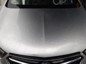 Engine bonnet/hood