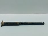 Rear shock absorber/damper
