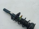 Front shock absorber/damper