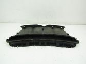 Ziergitter Motorhaube