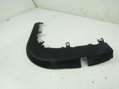 Front door trim (molding)