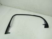 Rear door trim (molding)