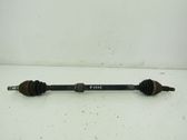 Drive shaft (set)