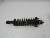 Stoßdämpfer hinten