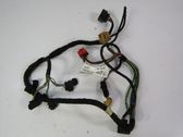 Front door wiring loom