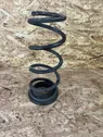 Rear coil spring