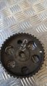 Fuel pump gear (pulley)