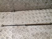 Tailgate/trunk strut/damper