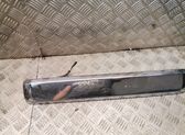 Trunk door license plate light bar