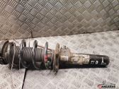 Front shock absorber with coil spring